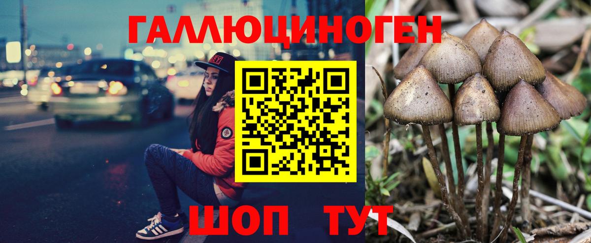 Псилоцибиновые грибы мицелий  купить   Вход с VPN  Волжск  Галлюциногенные грибы мухоморы 